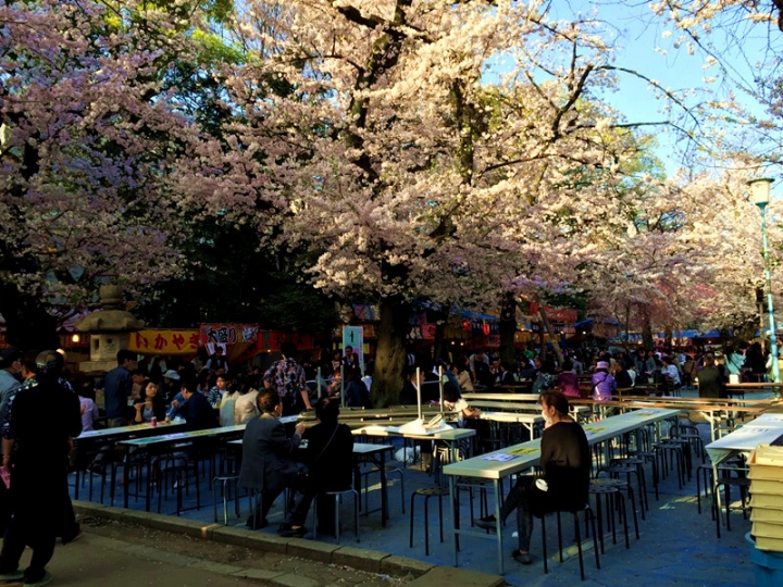 【日本 東京】私房賞櫻景點大公開(上)
