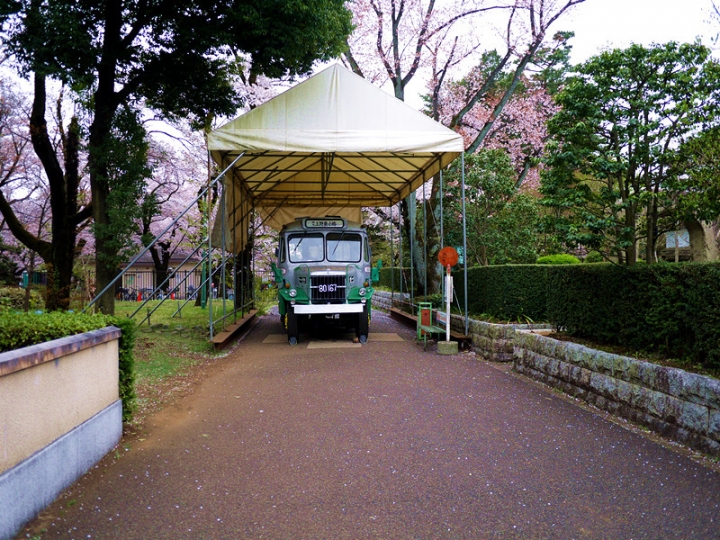 【日本 東京】私房賞櫻景點大公開(下)-小金井、井之頭、吉祥寺