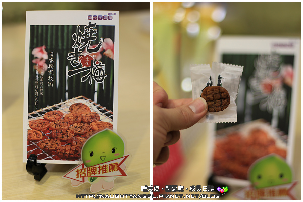 《親子景點》嘉義梅問屋‧除了梅子DIY,還有小孩愛的酸梅湯及梅子粉