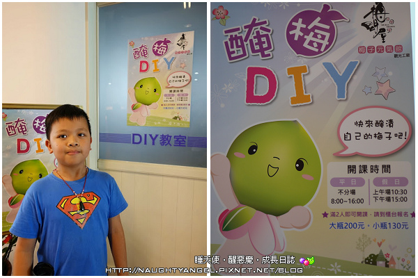 《親子景點》嘉義梅問屋‧除了梅子DIY,還有小孩愛的酸梅湯及梅子粉
