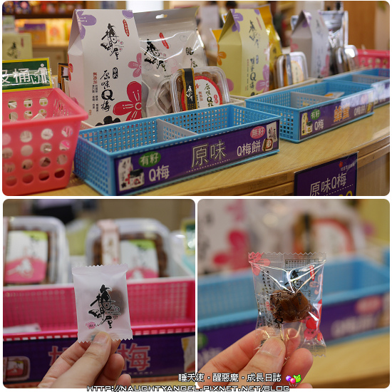 《親子景點》嘉義梅問屋‧除了梅子DIY,還有小孩愛的酸梅湯及梅子粉
