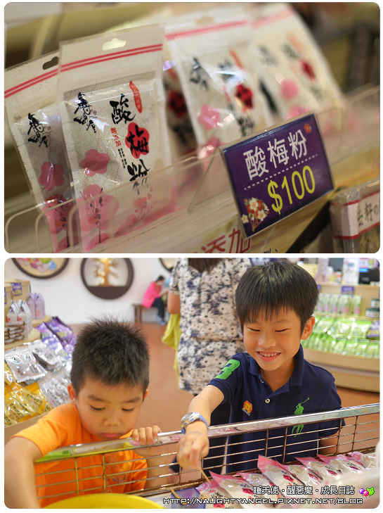 《親子景點》嘉義梅問屋‧除了梅子DIY,還有小孩愛的酸梅湯及梅子粉