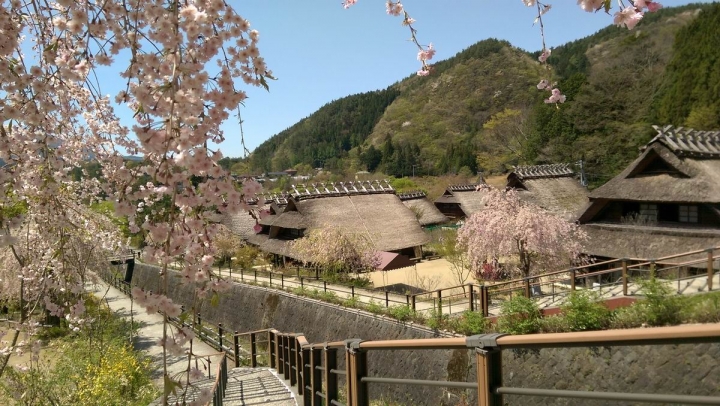 春遊日本富士五湖---身心靈享受的單車旅遊