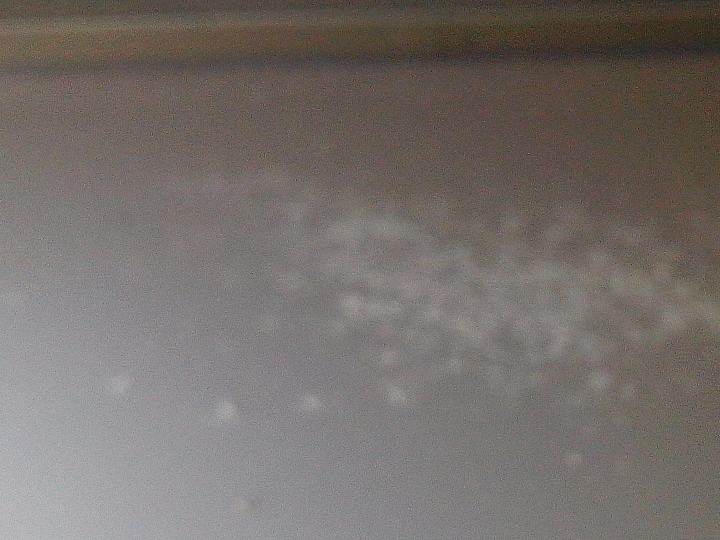 浴室屋頂壁癌紀錄