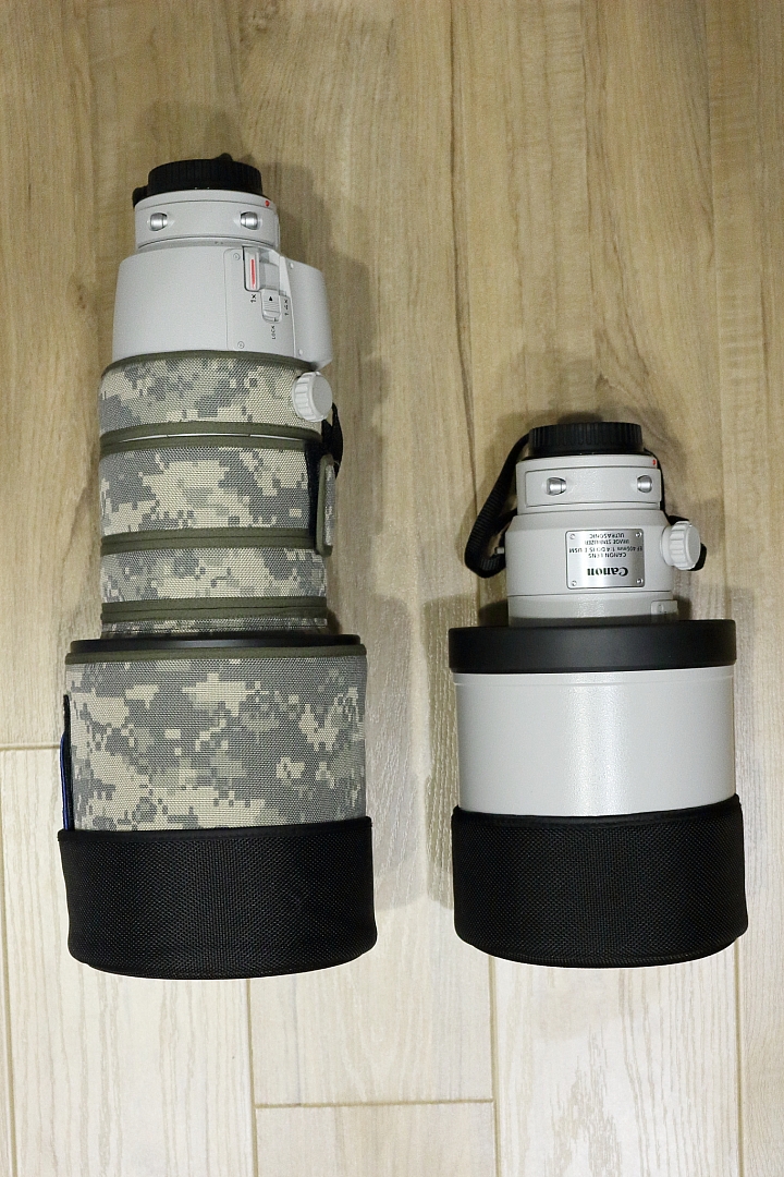 大綠兔EF400mm F4 DO IS II分享文(2015/7/15更新5DSR實拍圖)
