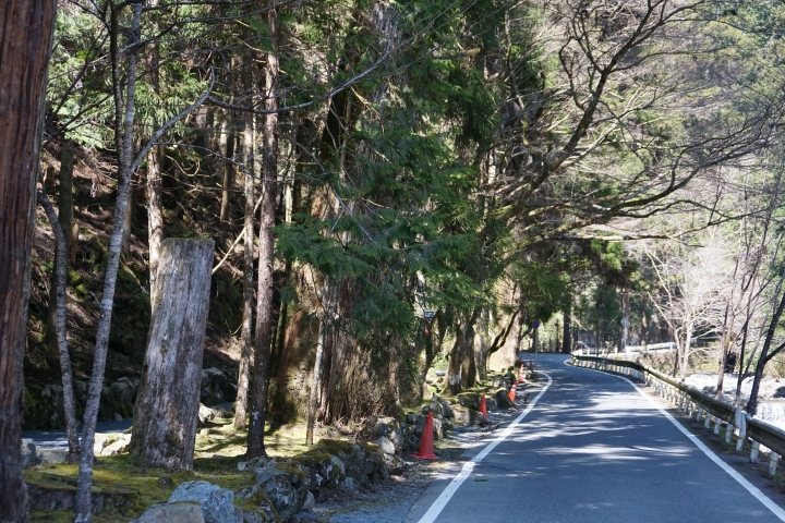 2015 把日本當台灣玩 單人機車遊京都+富士山