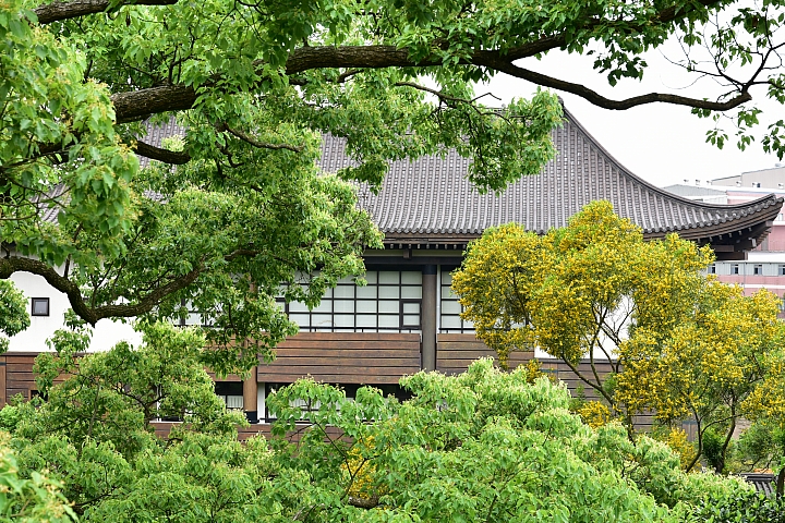 Wi-Fi及NFC導入 畫質對焦再精進‧Nikon D7200