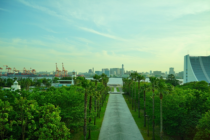 Sony Distagon T* FE 35mm F1.4 ZA 測試報告!