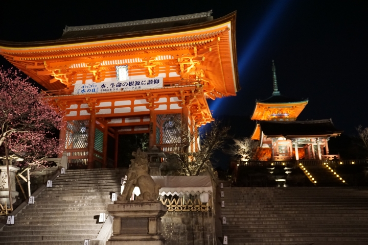 2015 把日本當台灣玩 單人機車遊京都+富士山