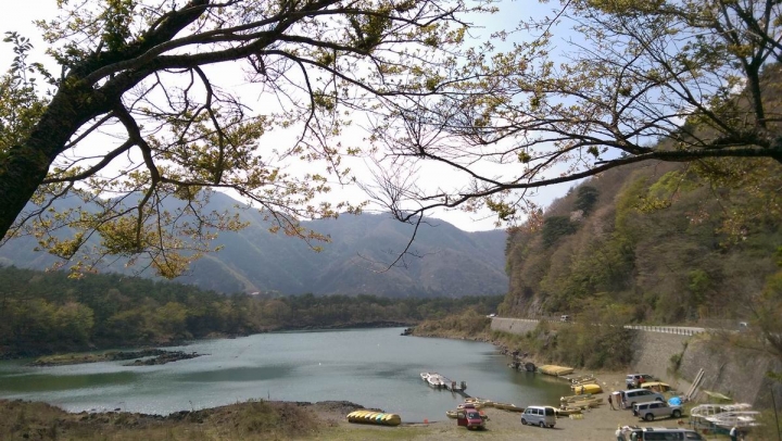 春遊日本富士五湖---身心靈享受的單車旅遊