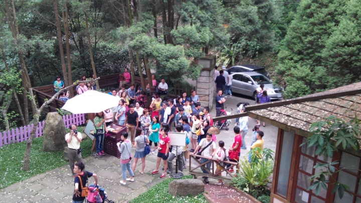 福特 Fiesta 24小時非試不可,苗栗賞桐花半日遊