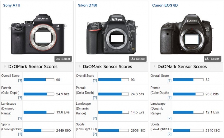 sony a7ii 動態範圍/寬容度 和canon 6d差不多?(內附raw +5ev比對)