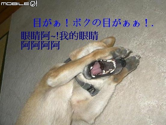 AUDI A3入手4個月小分享