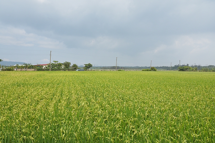Wi-Fi及NFC導入 畫質對焦再精進‧Nikon D7200