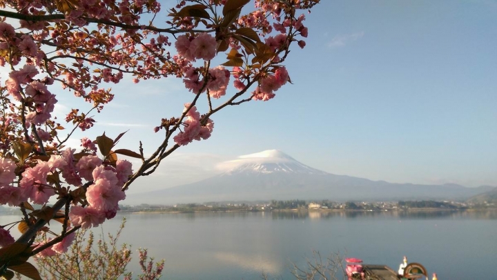 春遊日本富士五湖---身心靈享受的單車旅遊