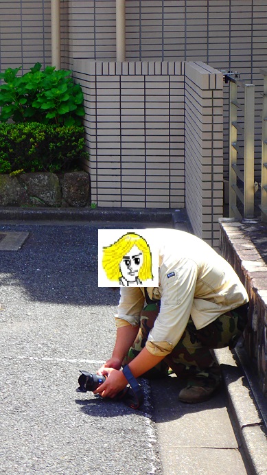 【首開】 開編輯文?? 全日本壓馬路(株)