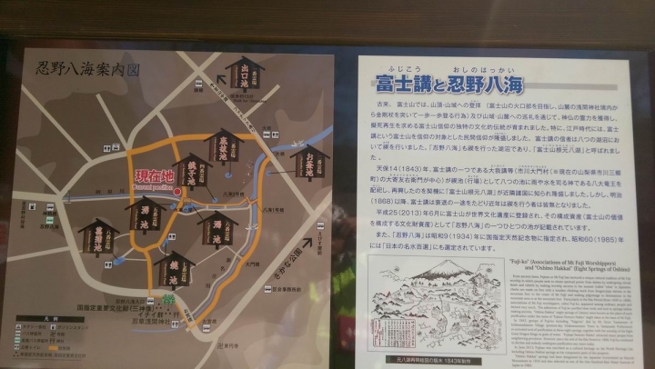 春遊日本富士五湖---身心靈享受的單車旅遊