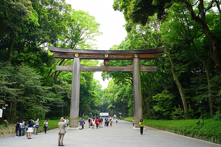 Sony Distagon T* FE 35mm F1.4 ZA 測試報告!