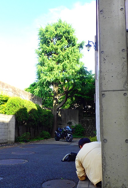 【首開】 開編輯文?? 全日本壓馬路(株)