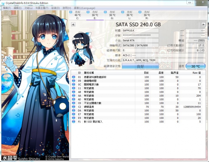 Wyvo APS1 240GB SSD*4 人品流簡單開箱
