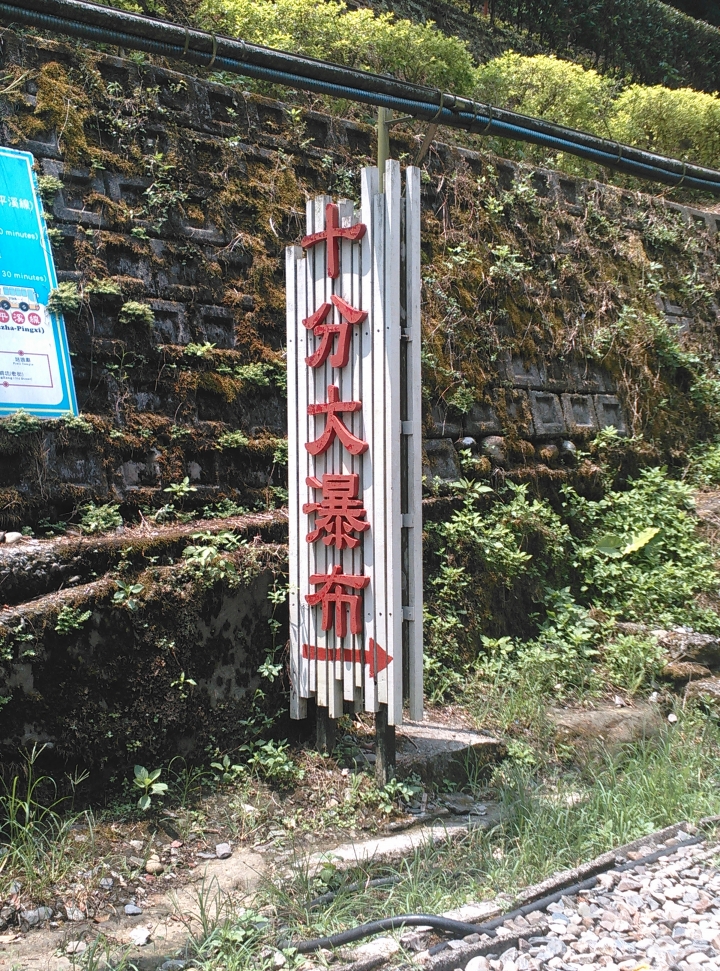 Ford Fiesta 24小時免費試駕