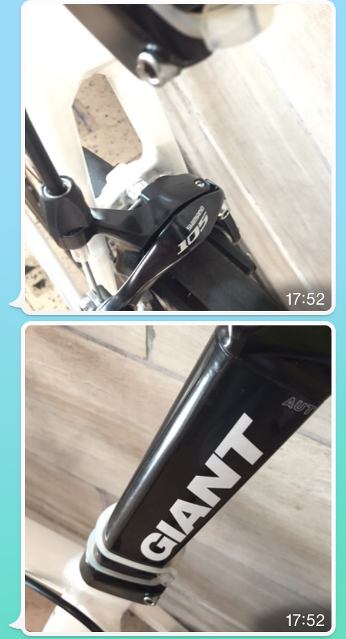各位前輩能看一看這GIANT TCR SLR嗎?