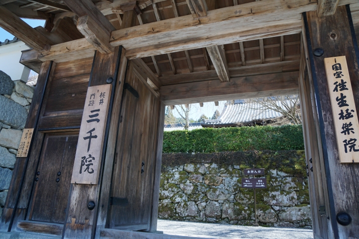 2015 把日本當台灣玩 單人機車遊京都+富士山