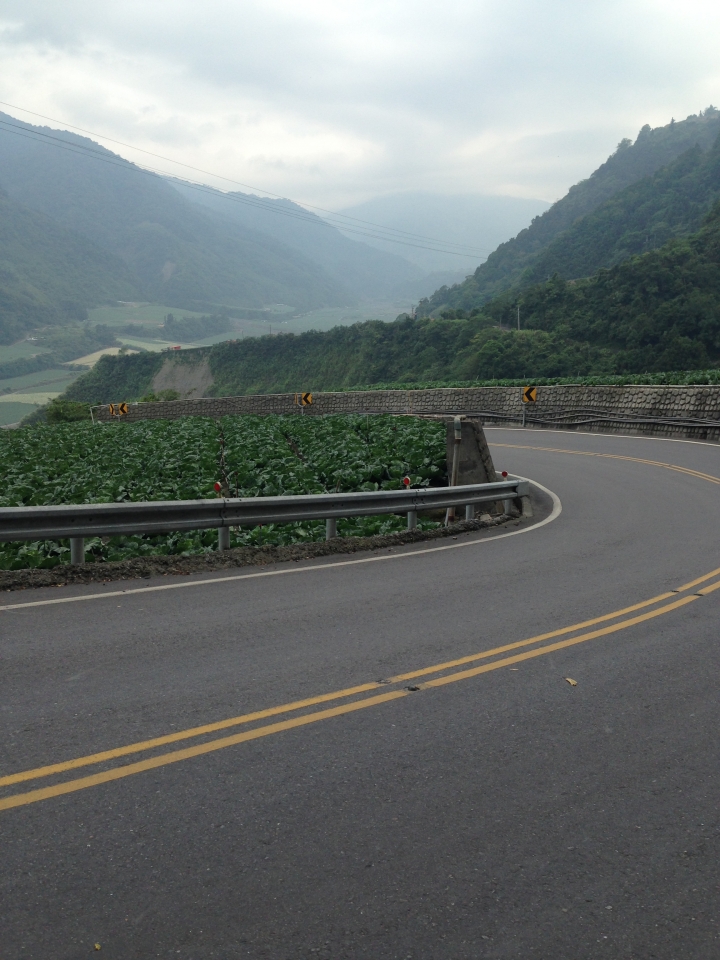 雙日北進武嶺