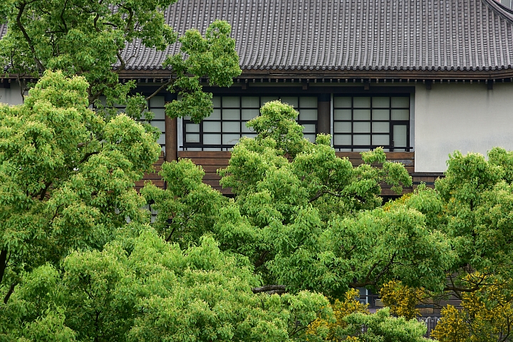 Wi-Fi及NFC導入 畫質對焦再精進‧Nikon D7200