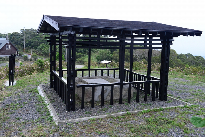 這裏真的美,您一定要來!高士神社公園野牡丹花盛開像天堂!