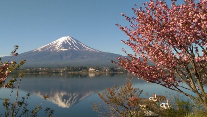 春遊日本富士五湖---身心靈享受的單車旅遊