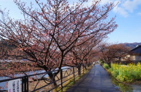 百順旅行社不開心 日本東京團過程