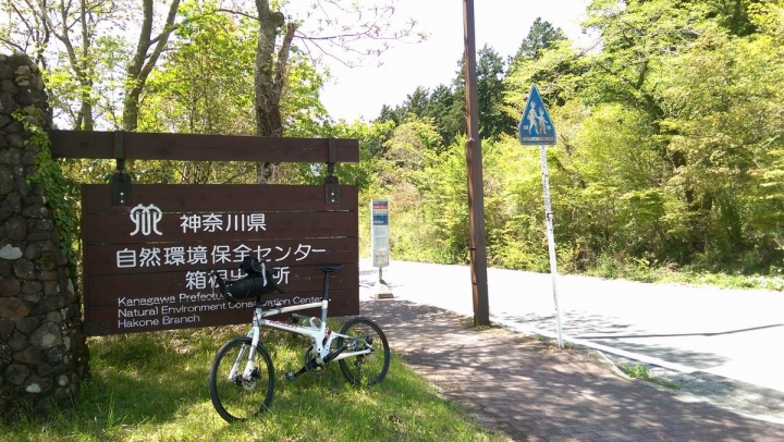 春遊日本富士五湖---身心靈享受的單車旅遊