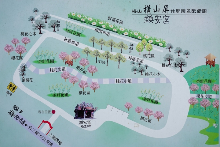 橫山屏休閒園區--金針花滿山滿谷--開車交通方便--下國道3很快就可以找到。