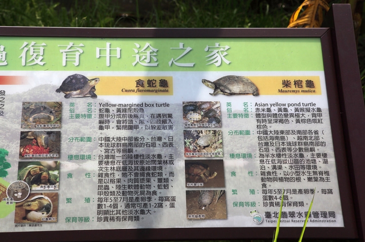 新北。翡翠水庫秘境親子遊