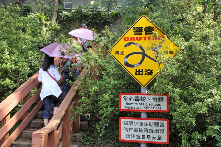 新北。翡翠水庫秘境親子遊