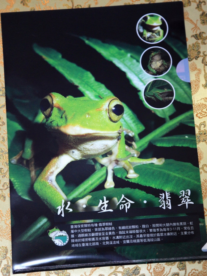 新北。翡翠水庫秘境親子遊