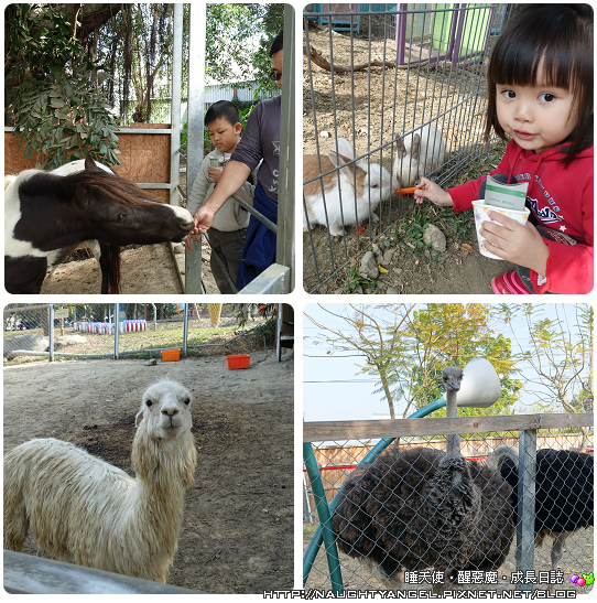 彰化景點就要醬玩↗小孩嗨翻✕爸媽樂開懷,親子二日遊懶人包(下集)