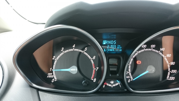 Ford 24小時非試不可 Fiesta1.0:溪頭&杉林溪二日遊