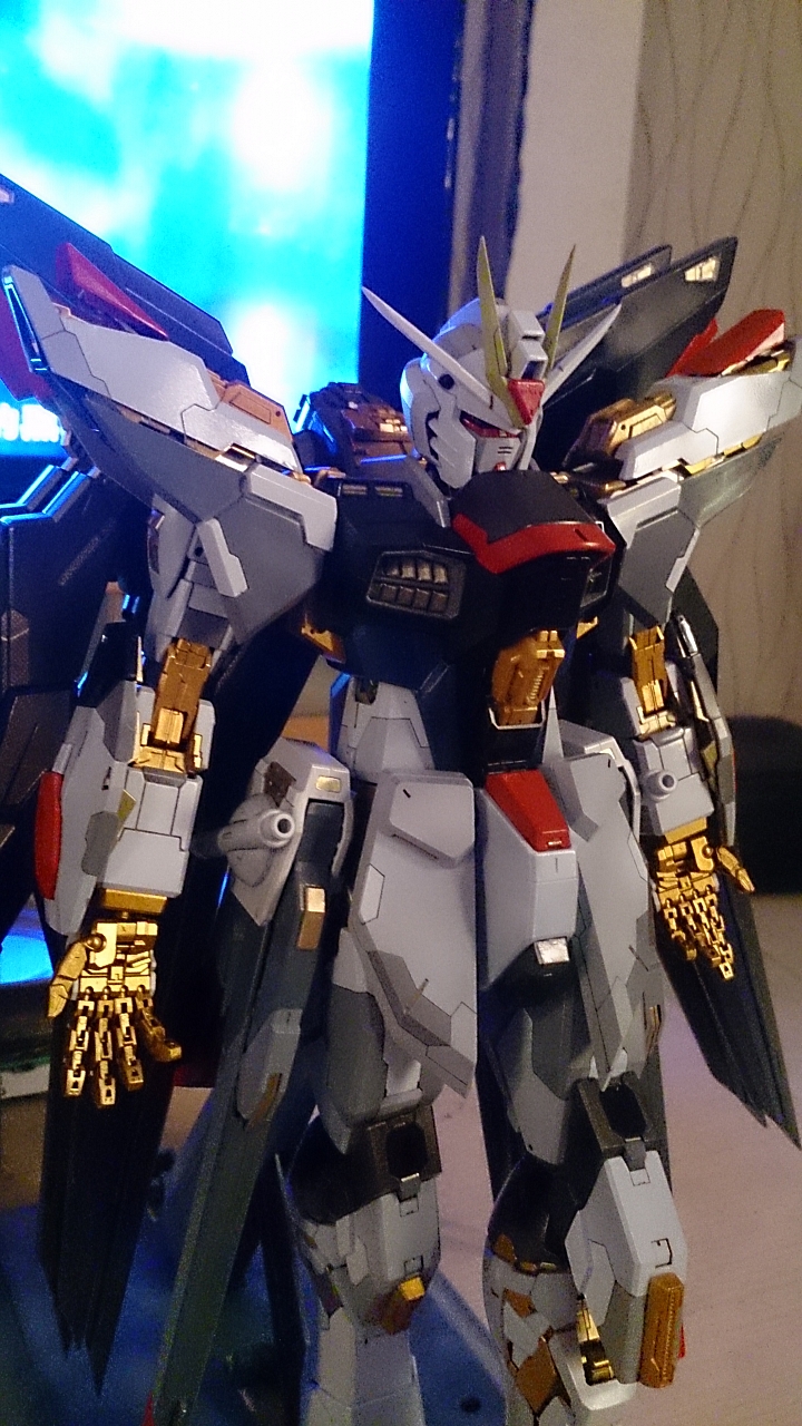 不專業又搞了七個多月的老產品 PG STRIKE FREEDOM + 改套 作品