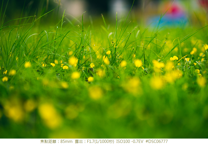 人像之眼,85mm定焦鏡