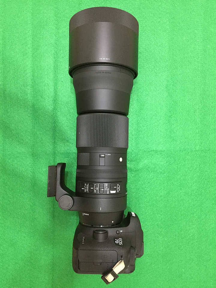 SIGMA 150-600 C - 我的第一支大砲鏡頭, 順便請教搭配雲台問題 ?