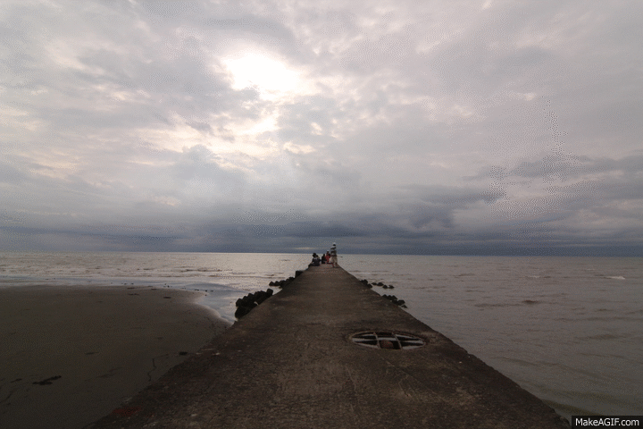 又大又省的租車分享