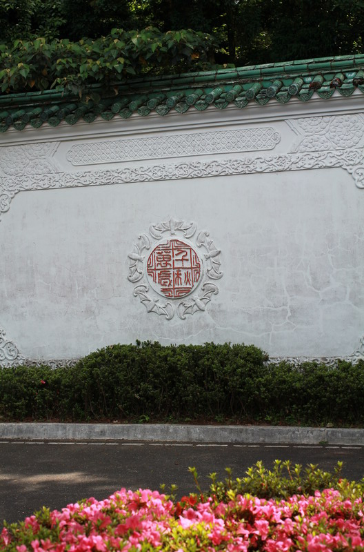 終於來到傳說中的陽明山屋