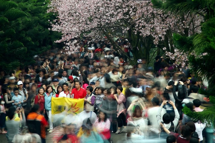 令人驚喜的台灣品牌 GrinLab 可調式減光鏡
