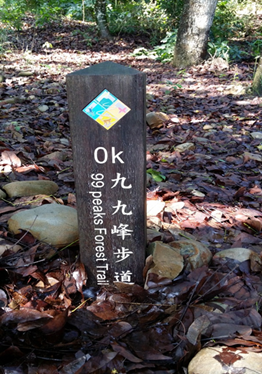 登山處女秀