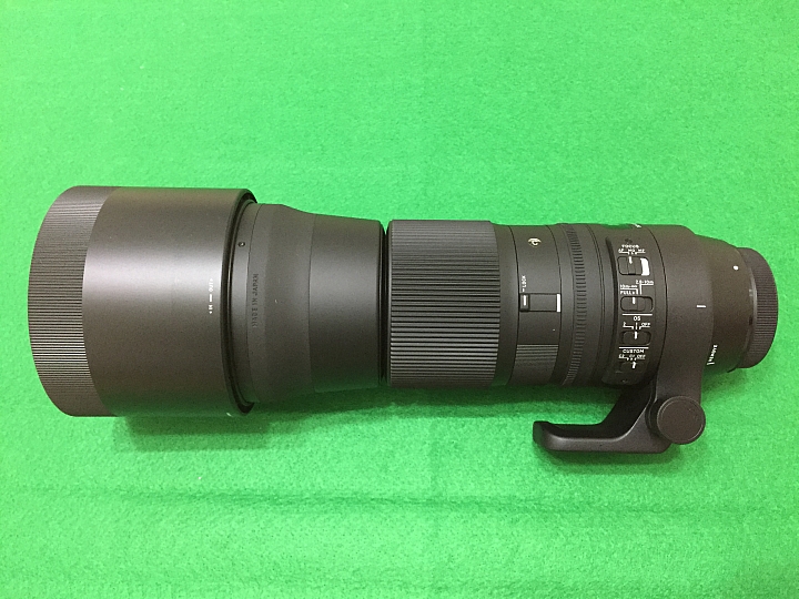 SIGMA 150-600 C - 我的第一支大砲鏡頭, 順便請教搭配雲台問題 ?