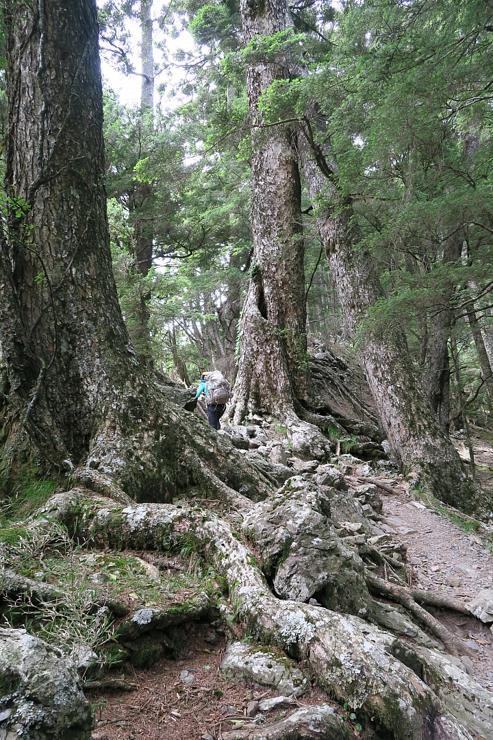 端午連假之五日北一段(南湖中央尖)