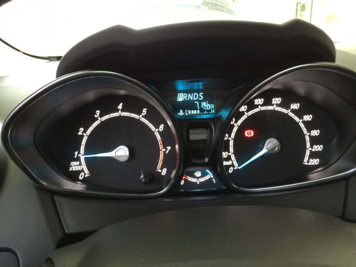 Ford 24小時非試不可-Fiesta 1.0 之溪頭一日行