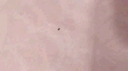 跪求各位大大回覆